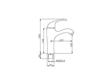 Load image into Gallery viewer, Sam Basin Faucet